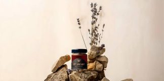 Miel et digestion intestinale, le duo énergisant pour un ventre en pleine forme